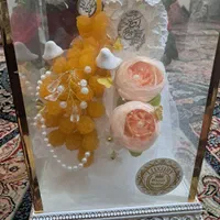 شاخه نبات