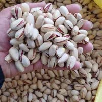 پسته خام و شور