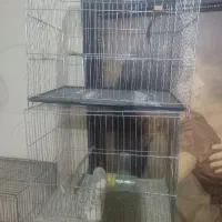 قفس بازاری کوچیک. بزرگ .