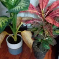 تاسیسات  لوله بازکنی  لوله کشی  شیرآلات و ابگرمکن