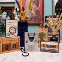 واکمن حرفه ای سونی