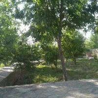 فروش زمین ۶۰۰ متری در خین عرب