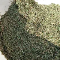 یونجه|حیوانات مزرعه|اهواز, ملاشیه|دیوار