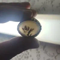 شجر خیلی قدیمی