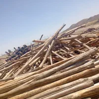 خرید چوب خشک سقفی و ضایعات باغی با بالاترین قیمت