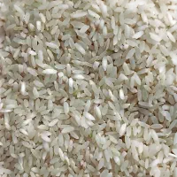 فروش برنج کامفیروز|خوردنی و آشامیدنی|فسا, |دیوار