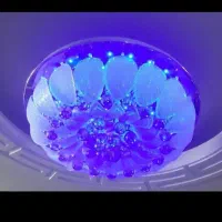 لوستر|لوستر و چراغ آویز|خرم‌آباد, |دیوار