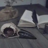 مجسمه دکوری جمجمه کلاغ