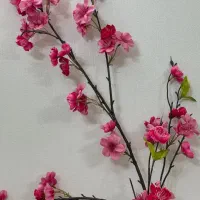 گلدان و گل خارجی|گل مصنوعی|ری, جوانمرد قصاب|دیوار