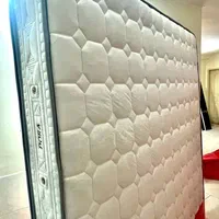 نمایندگی رویال اصل