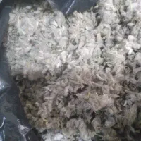 گل کوفته