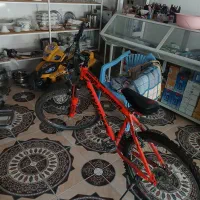 دوچرخه|دوچرخه، اسکیت، اسکوتر|شوط, |دیوار