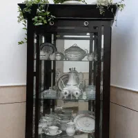 ویترین سالم و تمیز