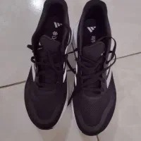 کتانی آدیداس اورجینال