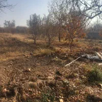 زمین باغچه|فروش زمین و ملک کلنگی|نوشین شهر, |دیوار