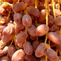 خرما زاهدی،قصب|خوردنی و آشامیدنی|شیراز, تاچارا|دیوار