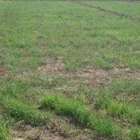 زمین-مسکونی-فروشی