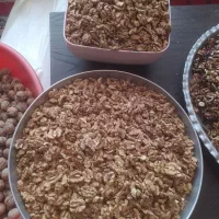 گردو توسرکان|خوردنی و آشامیدنی|تهران, جنت‌آباد مرکزی|دیوار