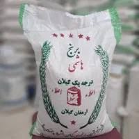 برنج صدری حسن سرایی کالابرگ