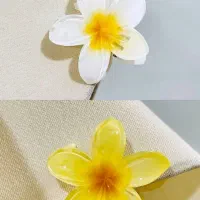 موزن اکلیلی/میکرودرم/بخورسرد/ژل شاخکی/درمااف|آرایشی، بهداشتی، درمانی|اصفهان, نقش جهان|دیوار