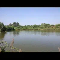 اجاره استخر ماهی ۳ هکتار برجاده /سوددهی عا،لی|فروش دفتر صنعتی، کشاورزی، تجاری|شفت, |دیوار