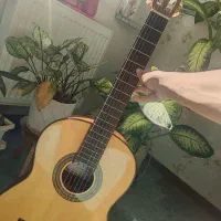 گیتار حرفه ای اصل اسپانیا sevila|گیتار، بیس، امپلیفایر|شیراز, باغ تخت|دیوار