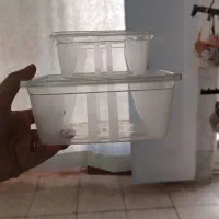 وسایل منزل|ظروف نگهدارنده، پلاستیکی، یک‌بارمصرف|قم, باغ کرباسی|دیوار