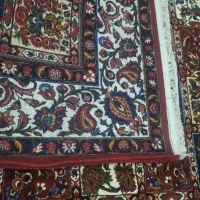 قالی دست بافت|فرش|شهرکرد, |دیوار