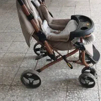 کالسکه دلیجان