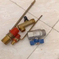 مرغ مینا|پرنده|یزد, |دیوار