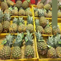 کارگر تره بار با جای خواب