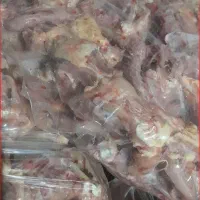 اسکلت گردن مرغ برای سگ وگربه