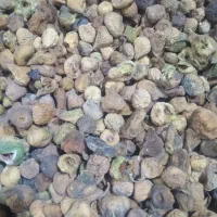 فروش دوتن شاه انجیر سایز متوسط پاک شده|عمده‌فروشی|میمند, |دیوار