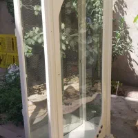 بوفه