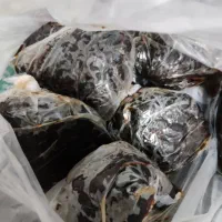 خرمای کبکاب پارسالی