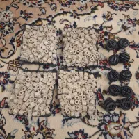 اکواریوم  شرکتی  ماهیران|ماهی|تهران, پونک|دیوار