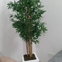 گلدان درختچه های بزرگ