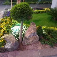 خاک باغچه مخلوط با کود حیوانی|خدمات باغبانی و درختکاری|فومن, |دیوار