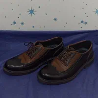 کفش رسمی ، مجلسی