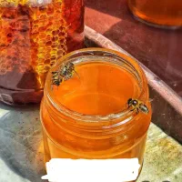 عسل دارویی صددرصد طبیعی