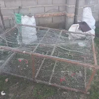 قفس یا یاتق کبوتر یا مرغ|لوازم جانبی حیوانات|گنبد کاووس, |دیوار