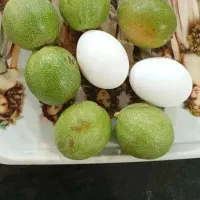 گردو با کیفیت تویسرکان پوست کاغذی|خوردنی و آشامیدنی|محمدشهر, کوی بهار|دیوار