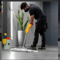 نضافت وکاری امور منزل