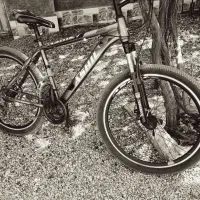 دوچرخه|دوچرخه، اسکیت، اسکوتر|کوهبنان, |دیوار