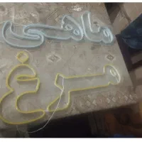 ال ای دی مرغ و ماهی