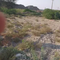 زمین باغ دارای سند در روستای ماگیان