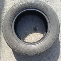 لاستیک گلدستون