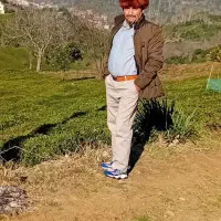 هرص کاری و تمیز کردن زمین