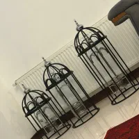 فانوس کنار سالنی