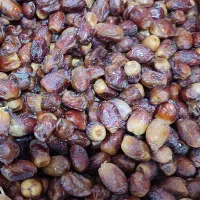 فروش خرمای خاصه